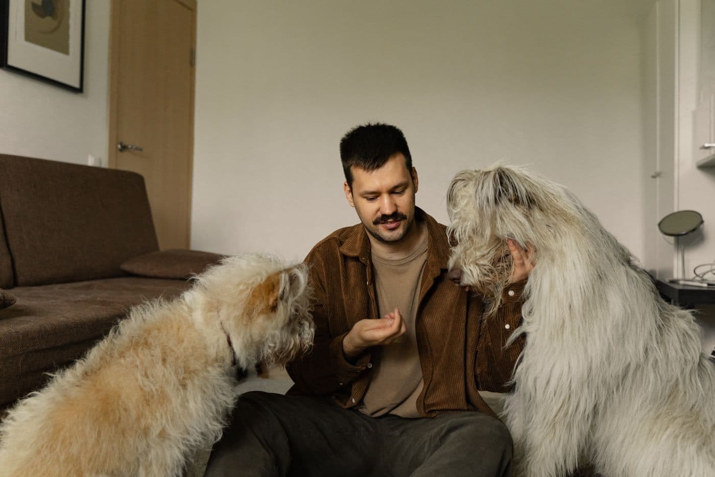 Dueño en casa con sus perros