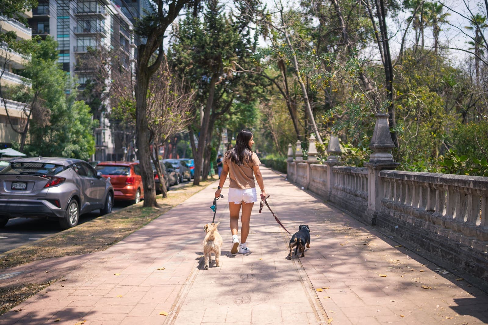 Dueña paseando dos perros en la ciudad