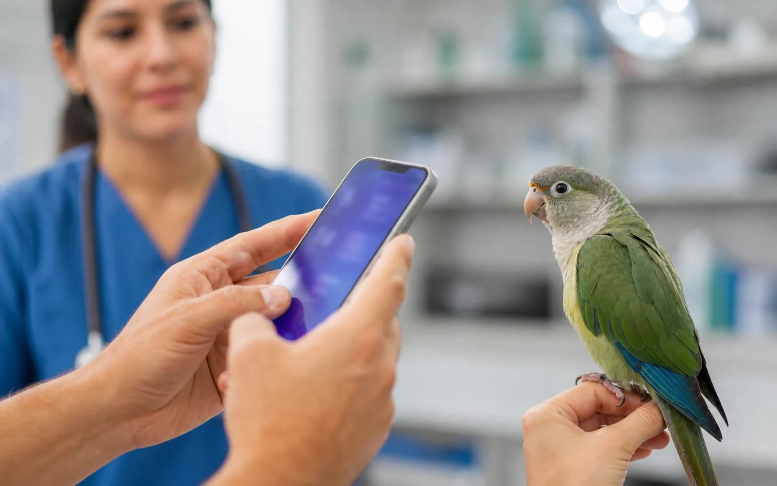 Análisis con IA de la salud de una mascota desde el teléfono